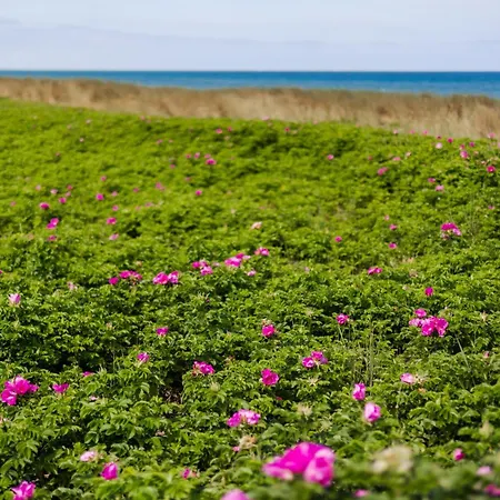 Appartamento Der Stoertebeker - 